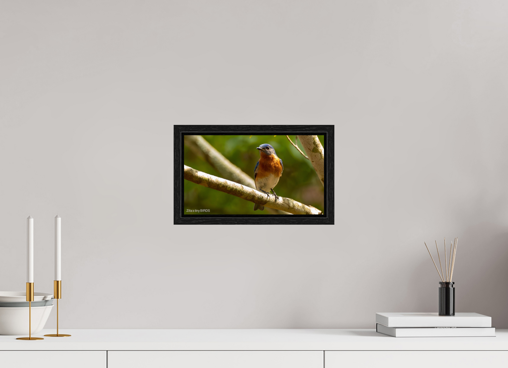 12 x 6.8″, Floater Frame Zillas Zoom Image 373