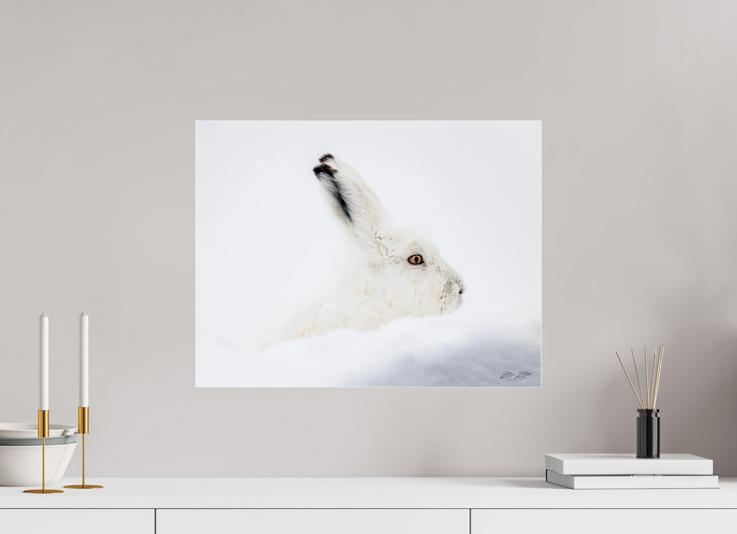 20.7 x 16″, Photo Print Under Acrylic Glass Zillas zoom image 147