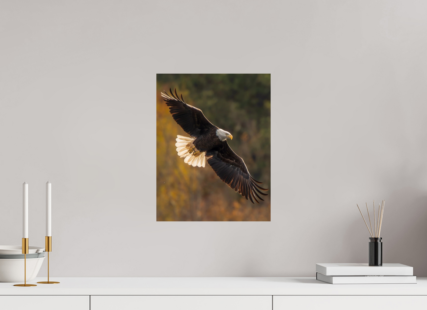 12 x 15.5″, Photo Print On Fuji Crystal DP II Zillas Zoom Image 495