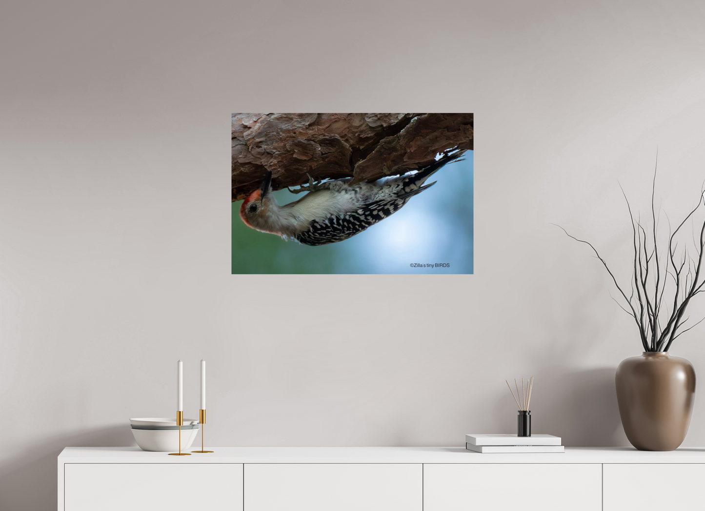 30 x 20″, Photo Print On Fuji Crystal DP II Zillas Zoom Image 319