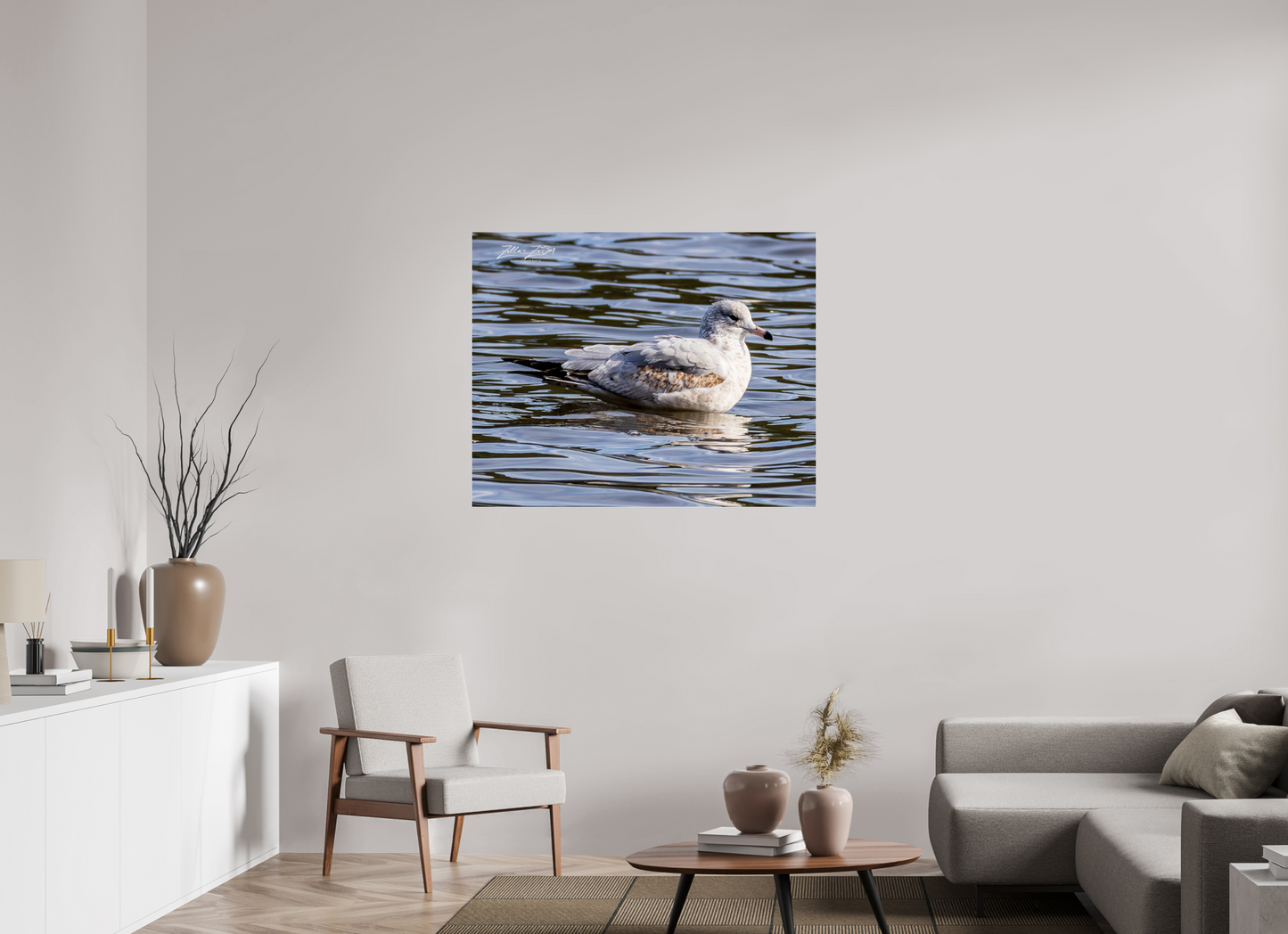 43.7 x 35″, Photo Print Under Acrylic Glass Zillas Zoom Image 271