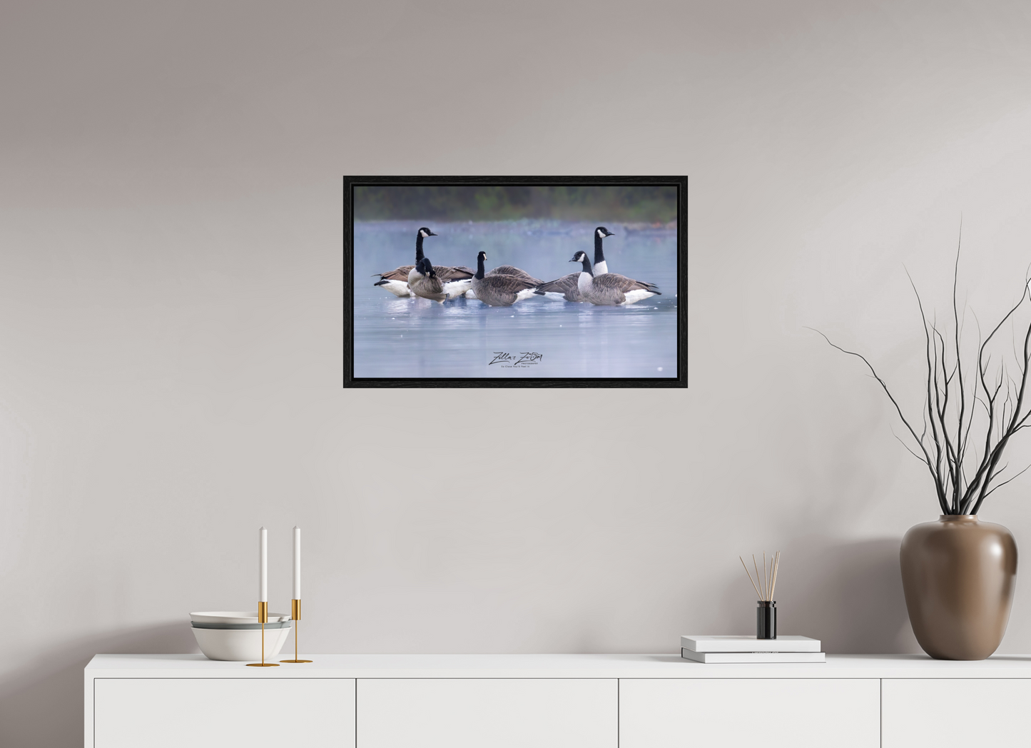 27 x 16″, Floater Frame Zillas Zoom Image 313