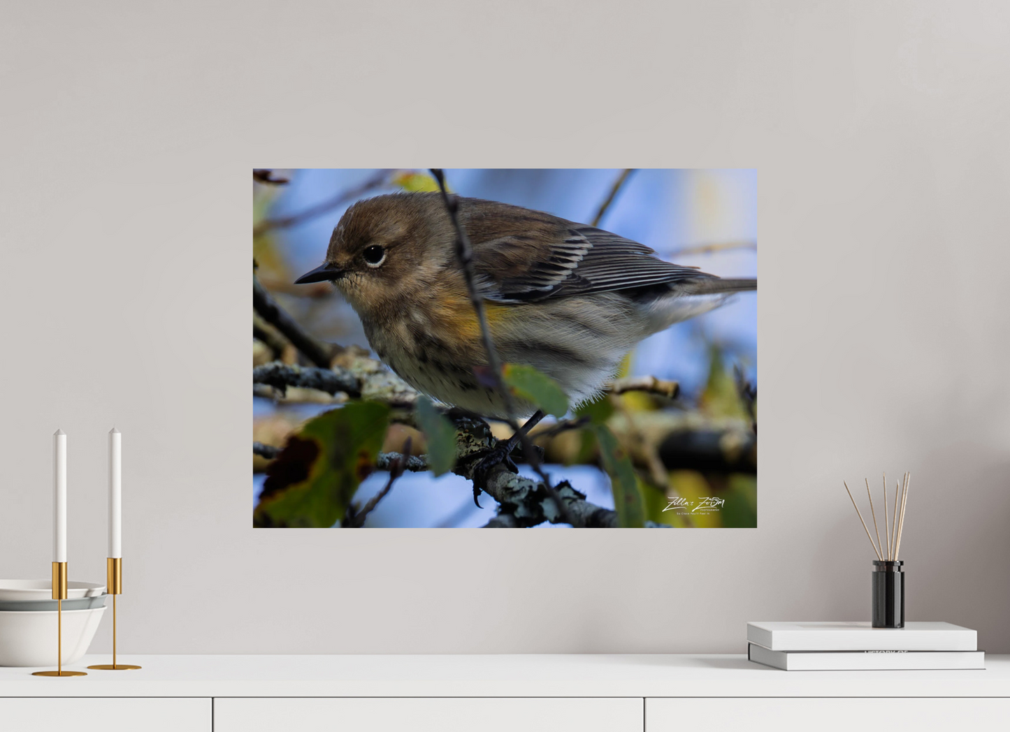 22.4 x 16″, Photo Print On Fuji Crystal DP II Zillas Zoom Image 357