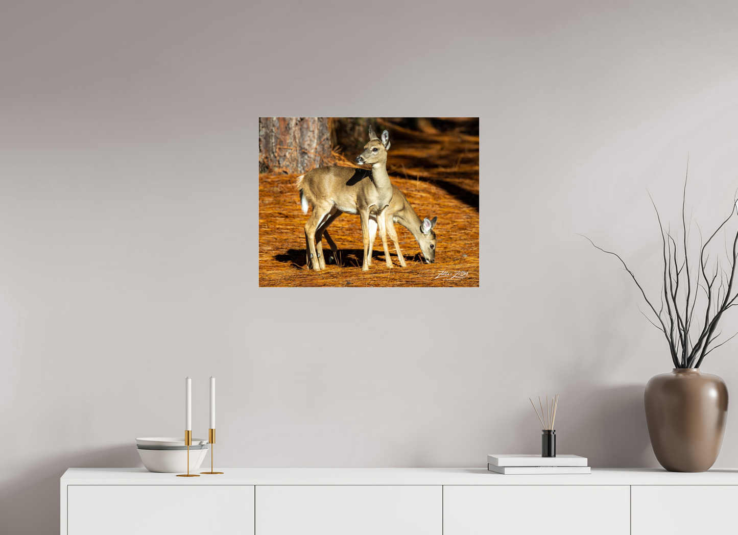 25.9 x 20″, Photo Print Under Acrylic Glass Zillas zoom image 144