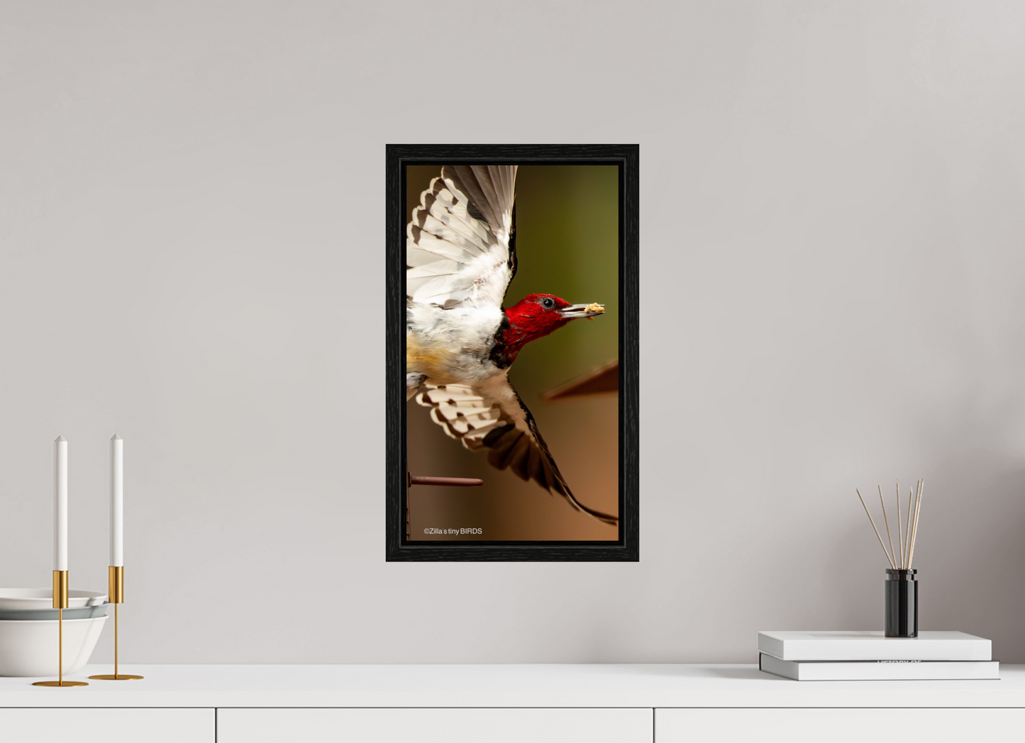 9 x 16″, Floater Frame Zillas Zoom Image 399