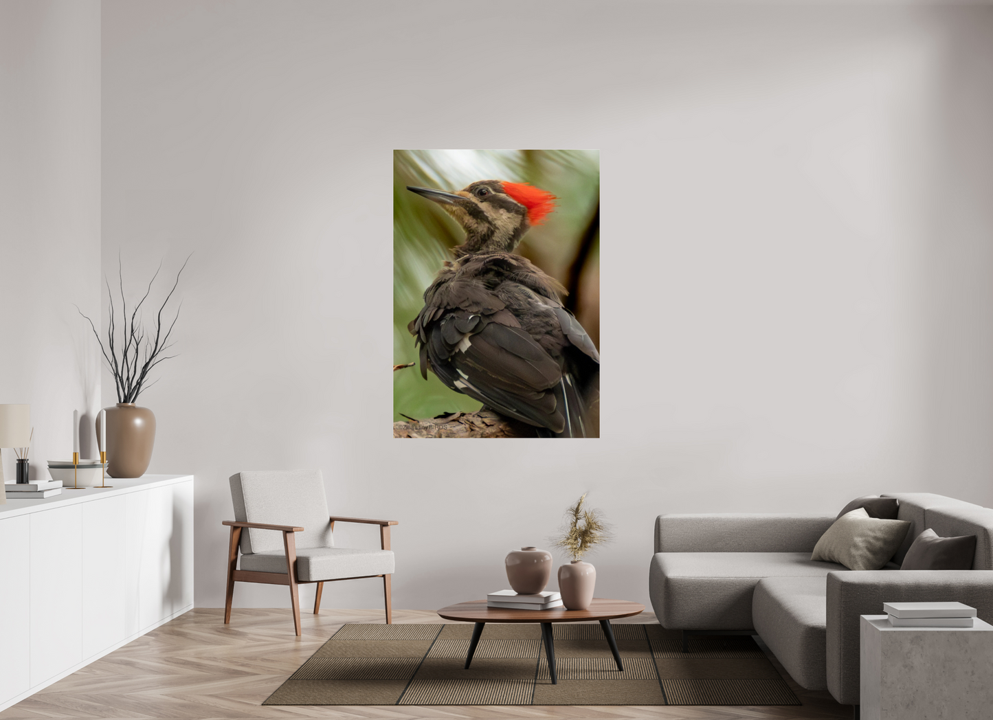 43 x 60.2″, Photo Print Under Acrylic Glass Zillas Zoom Image 443