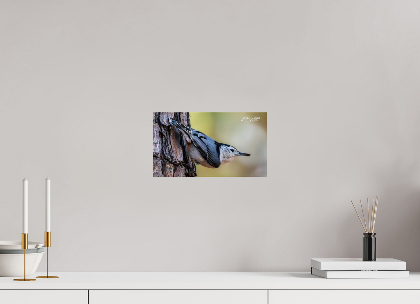12 x 6.8″, Photo Print Under Acrylic Glass Zillas Zoom Image 326