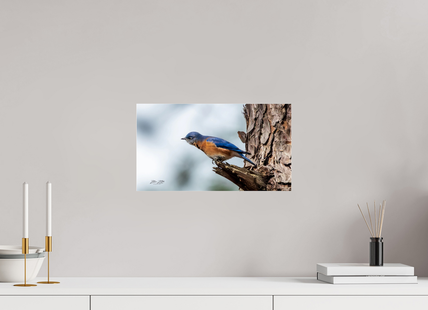 16 x 9″, Photo Print Under Acrylic Glass Zillas Zoom Image 346