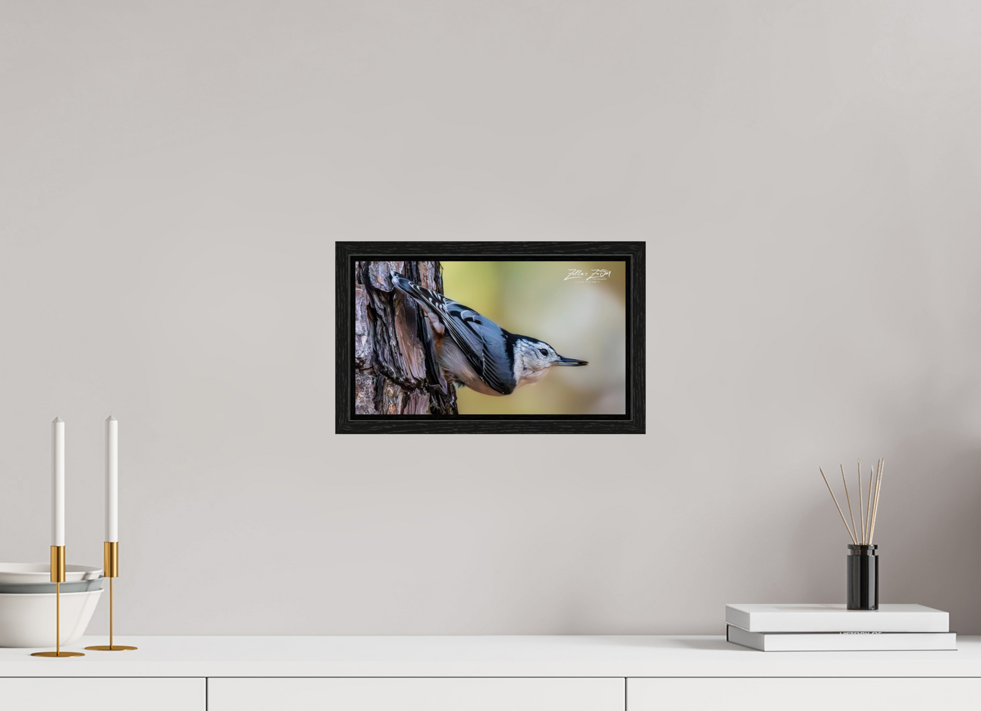 12 x 6.8″, Floater Frame Zillas Zoom Image 326