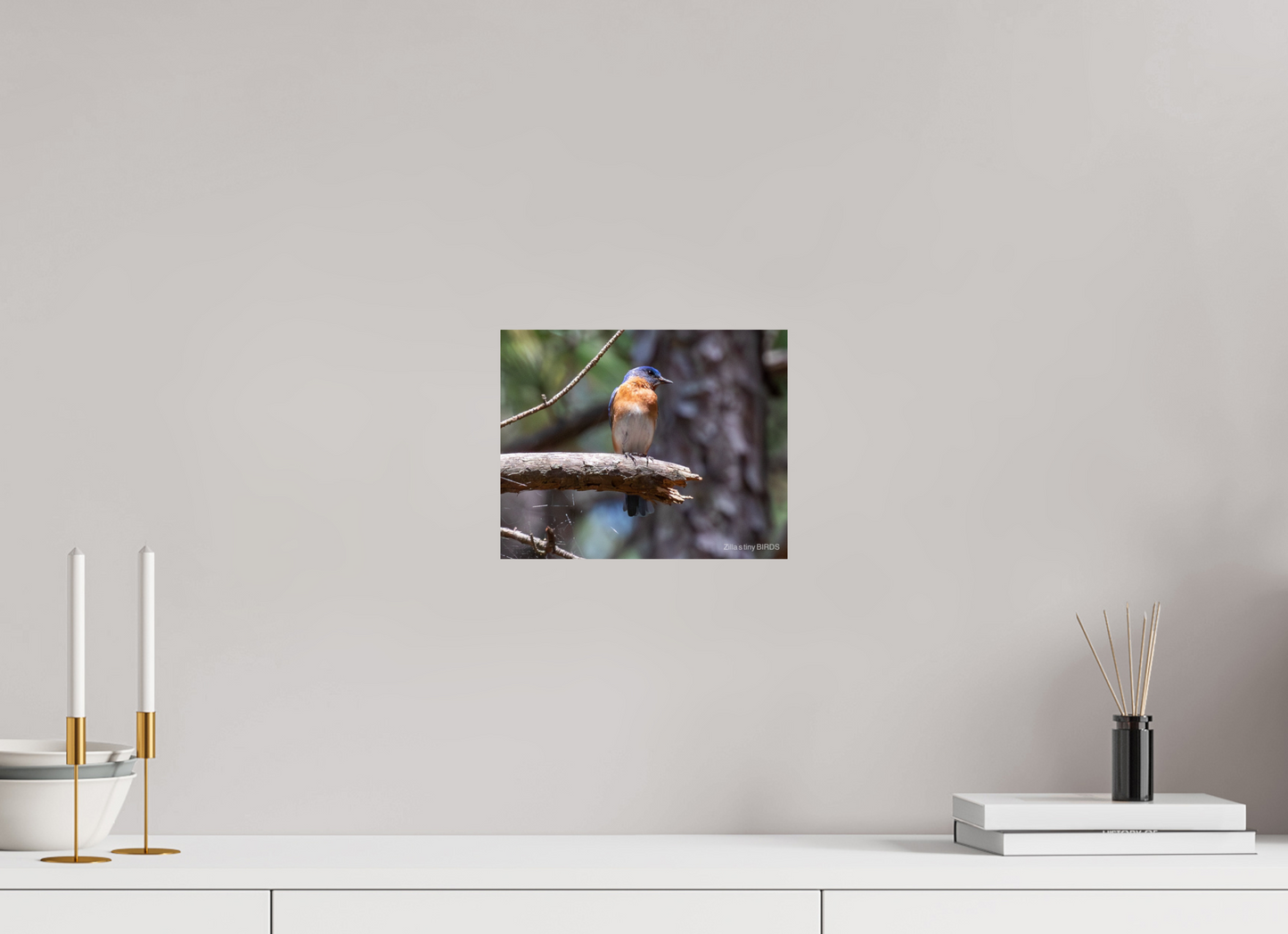 10 x 8″, Photo Print On Fuji Crystal DP II Zillas Zoom Image 368