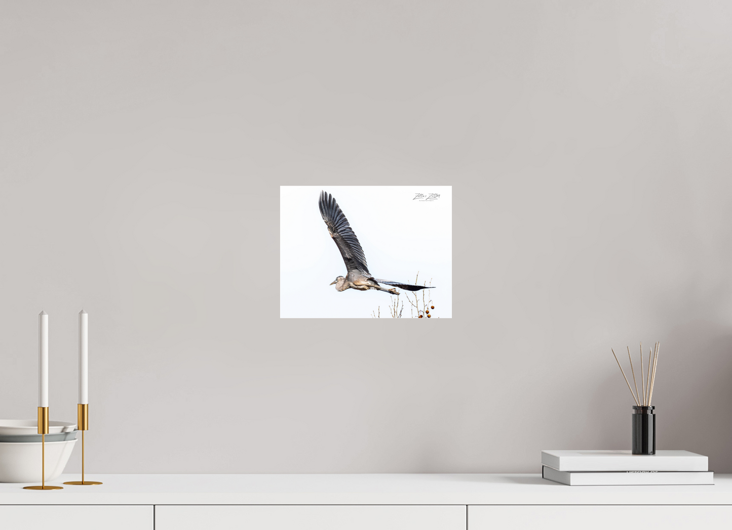 10.4 x 8″, Photo Print Under Acrylic Glass Zillas Zoom Image 277