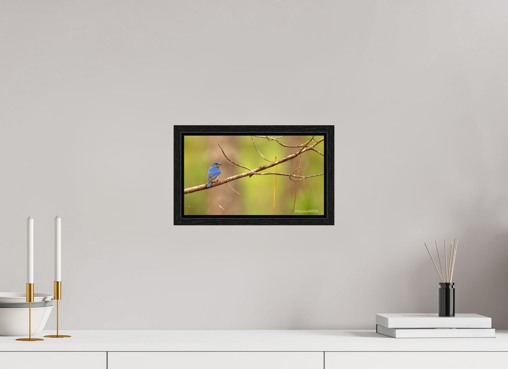 12 x 6.8″, Floater Frame Zillas Zoom Image 382