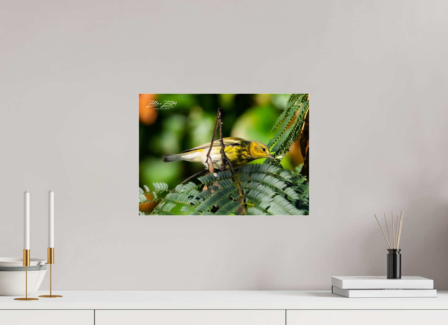 16.8 x 12″, Photo Print Under Acrylic Glass Zillas Zoom Image 288