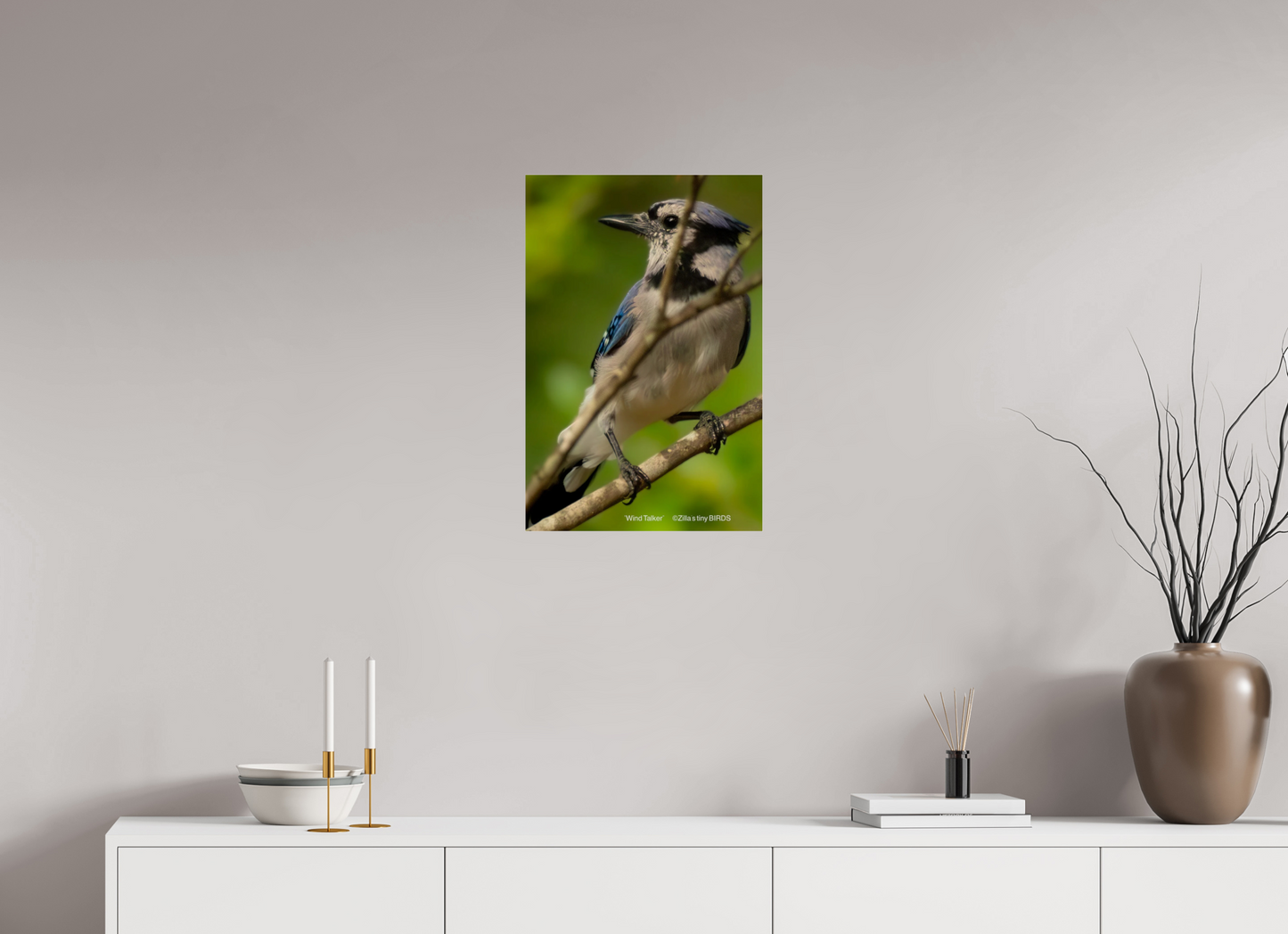 16 x 24″, Photo Print Under Acrylic Glass Zillas Zoom Image 435
