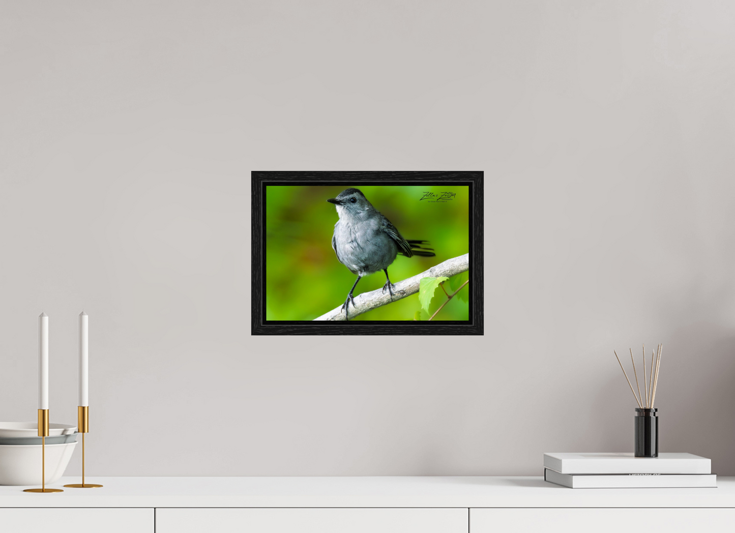 12 x 8″, Floater Frame Zillas Zoom Image 299