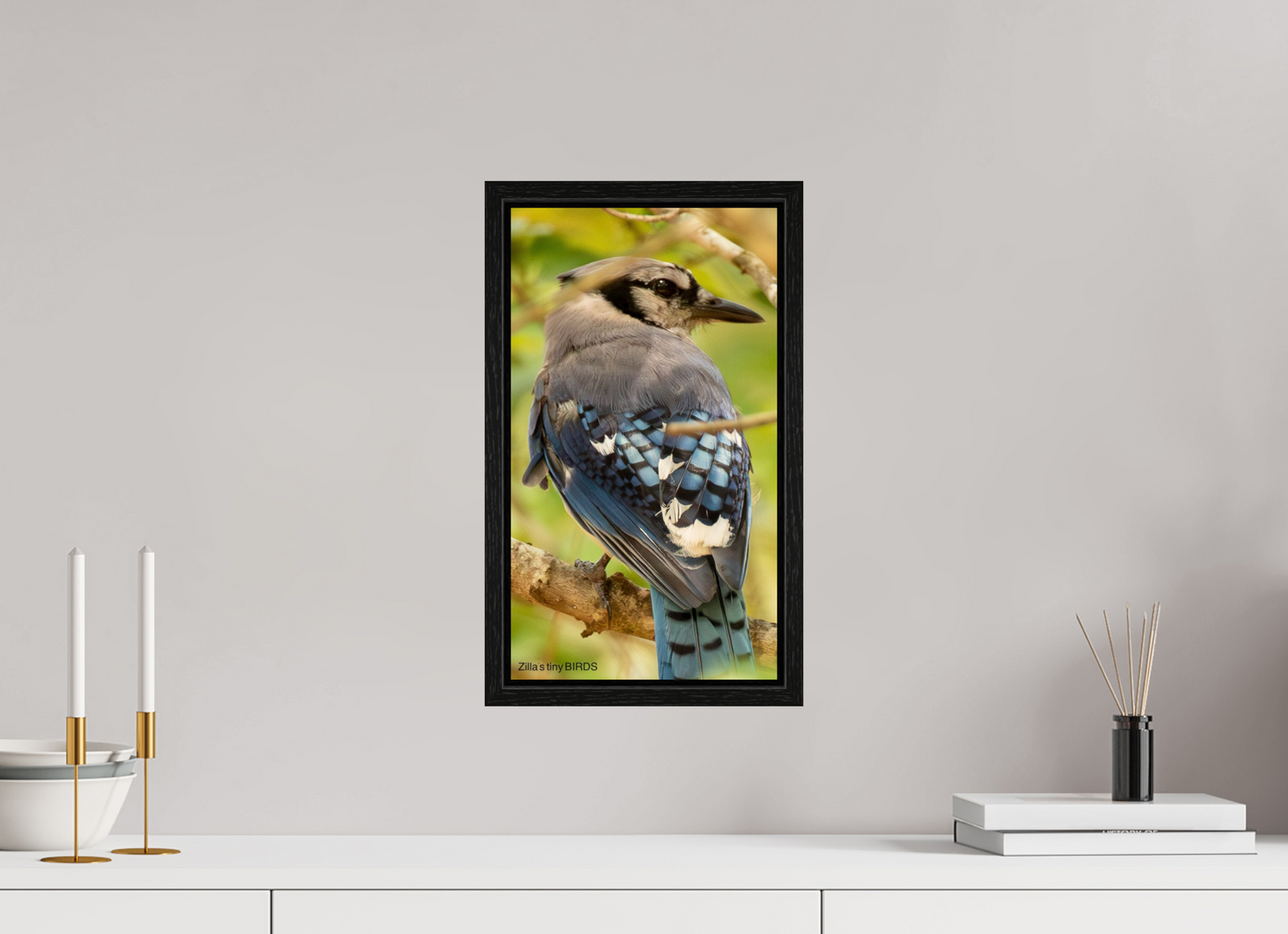 9 x 16″, Floater Frame Zillas Zoom Image 487