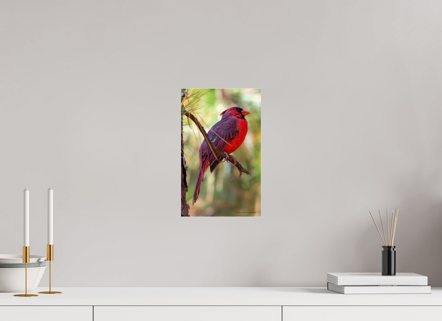 8 x 12.8″, Photo Print Under Acrylic Glass Zillas Zoom Image 430