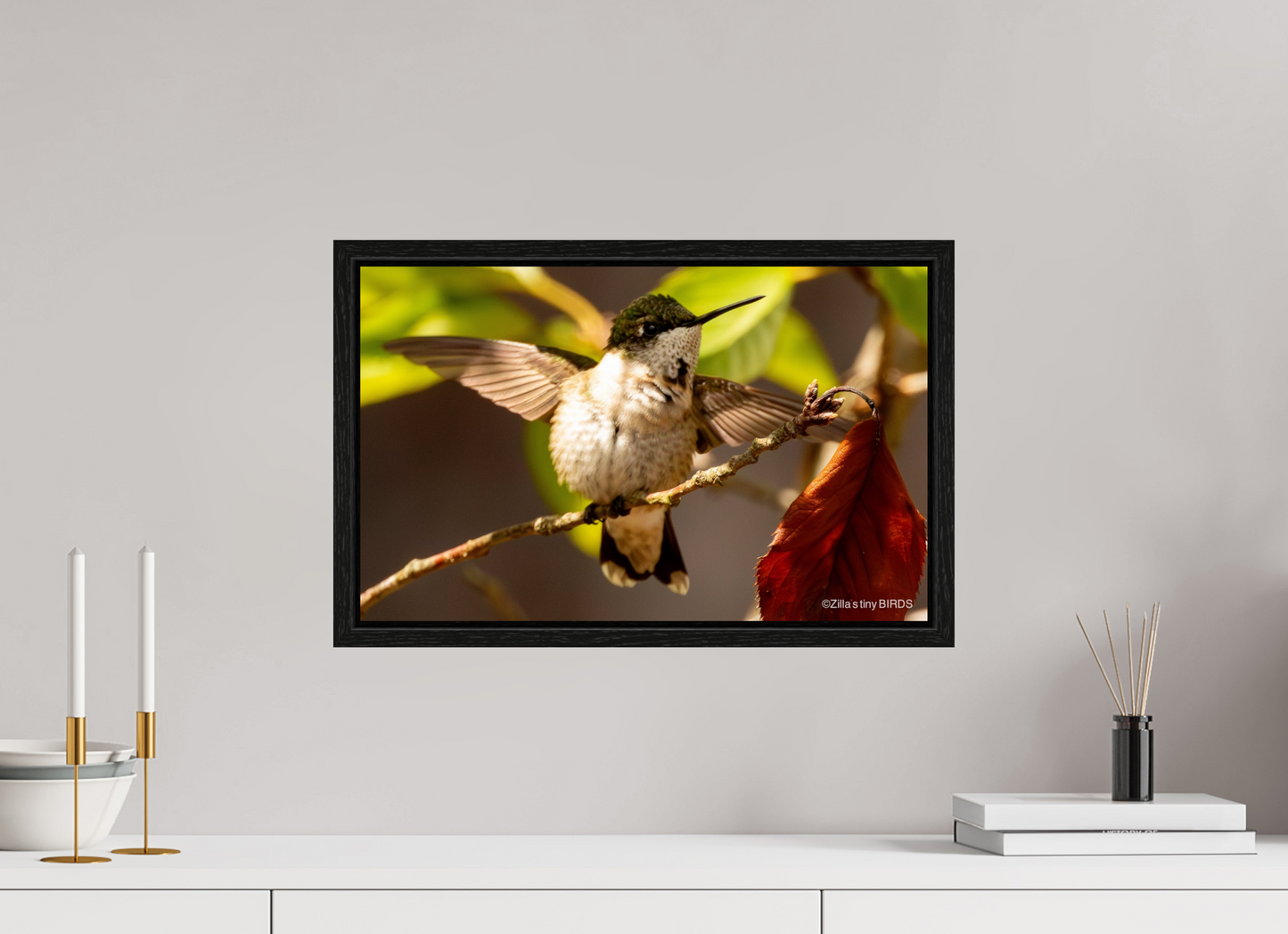 19.2 x 12″, Floater Frame Zillas Zoom Image 350