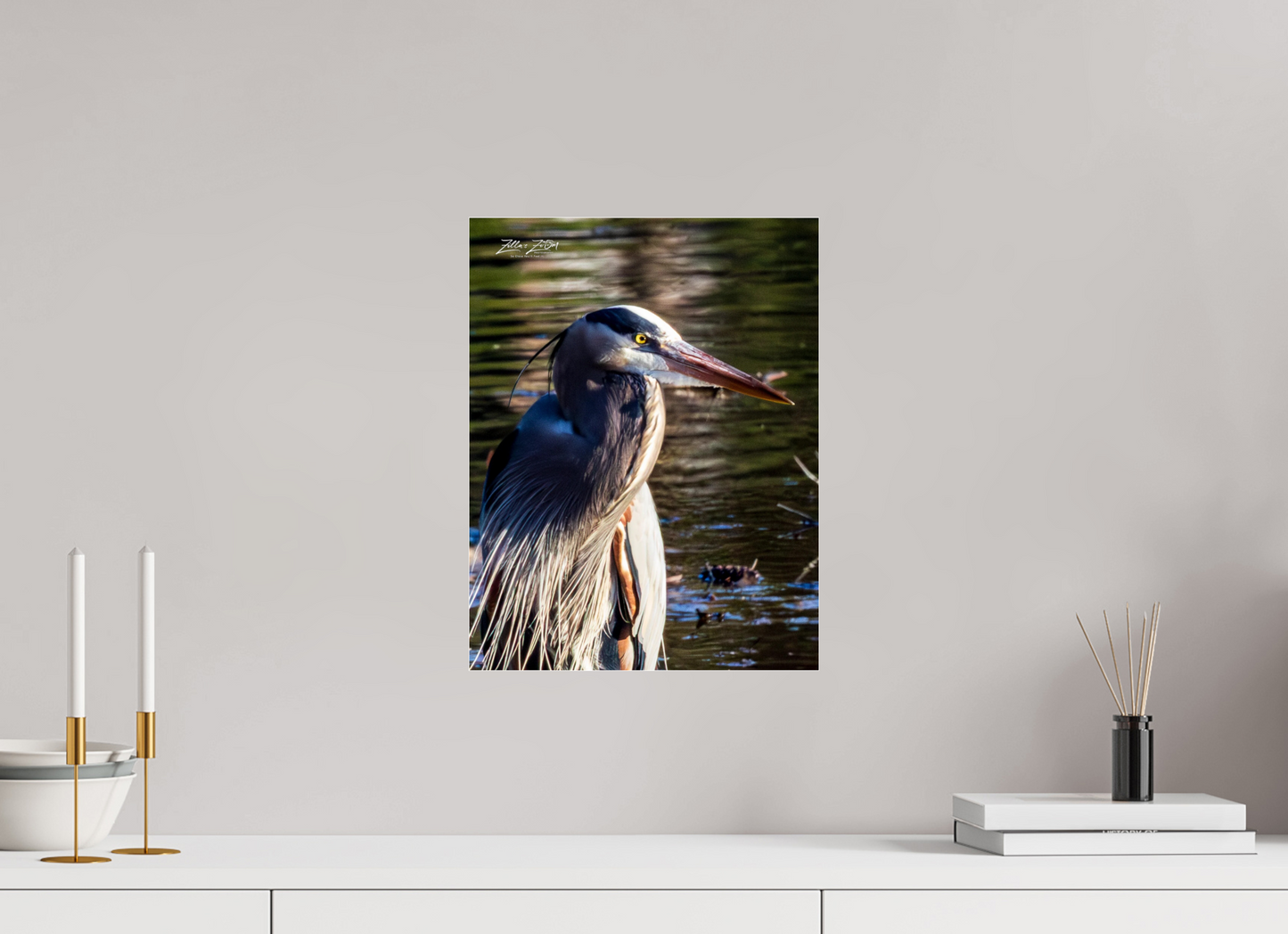 12 x 15.6″, Photo Print Under Acrylic Glass Zillas Zoom Image 409