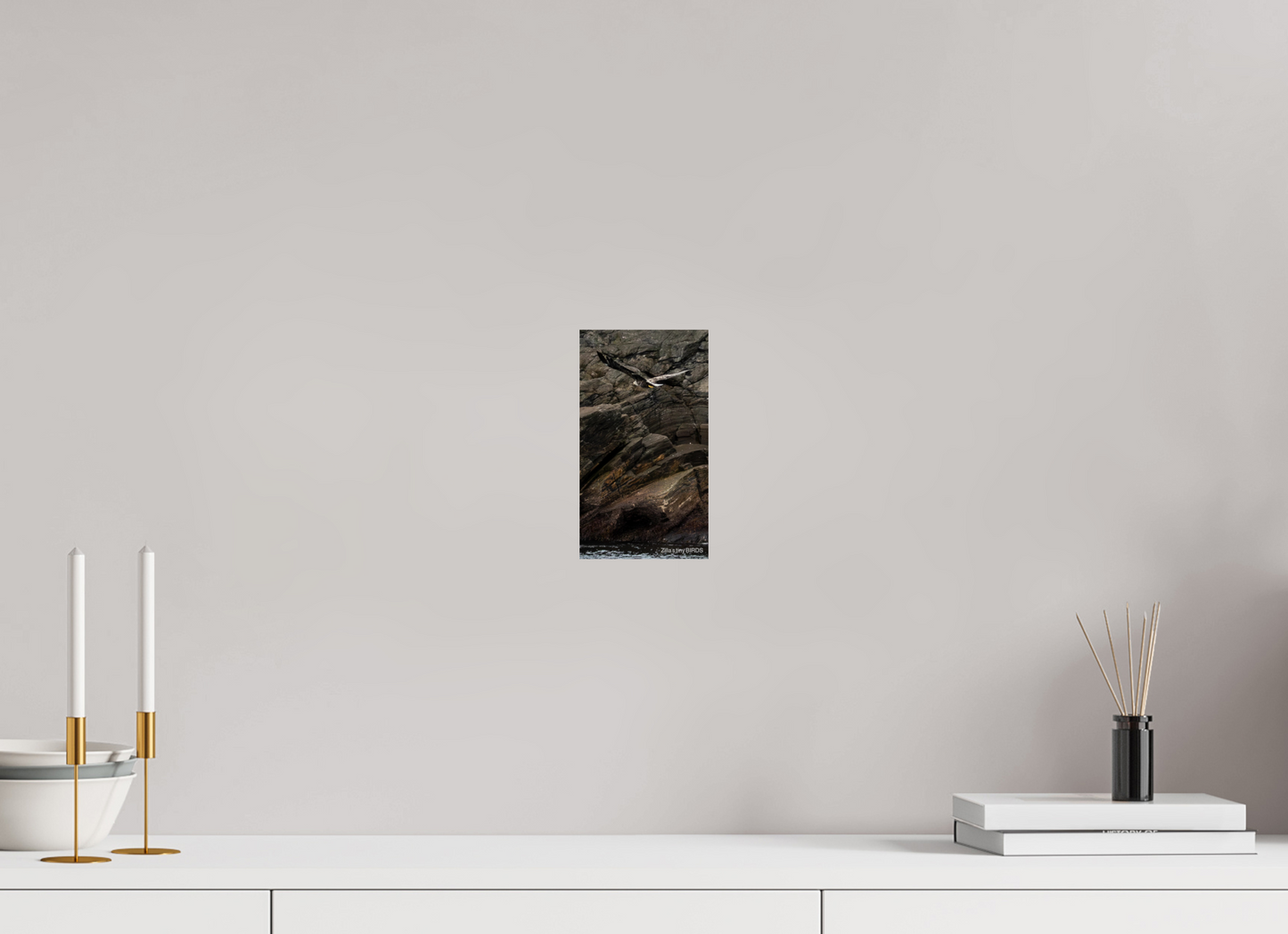 4.5 x 8″, Photo Print On Fuji Crystal DP II Zillas Zoom Image 244