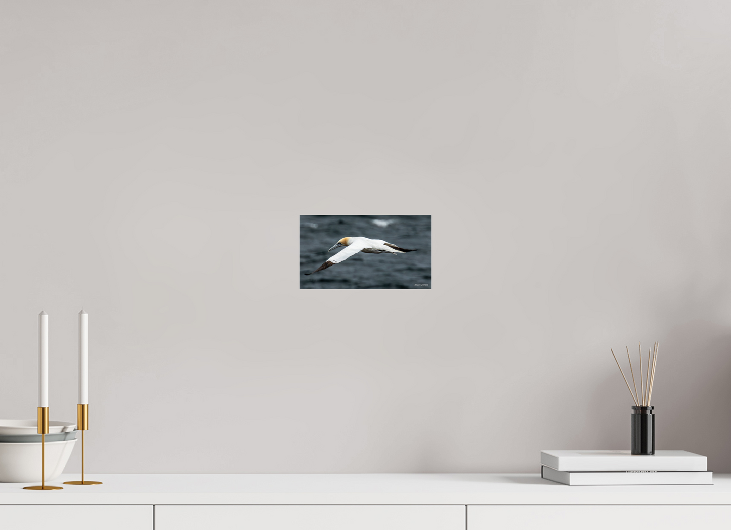 8 x 4.5″, Photo Print Under Acrylic Glass Zillas Zoom Image 324