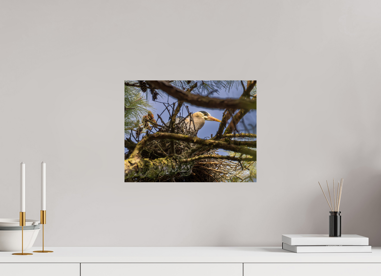 15.6 x 12″, Photo Print On Fuji Crystal DP II Zillas Zoom Image 361