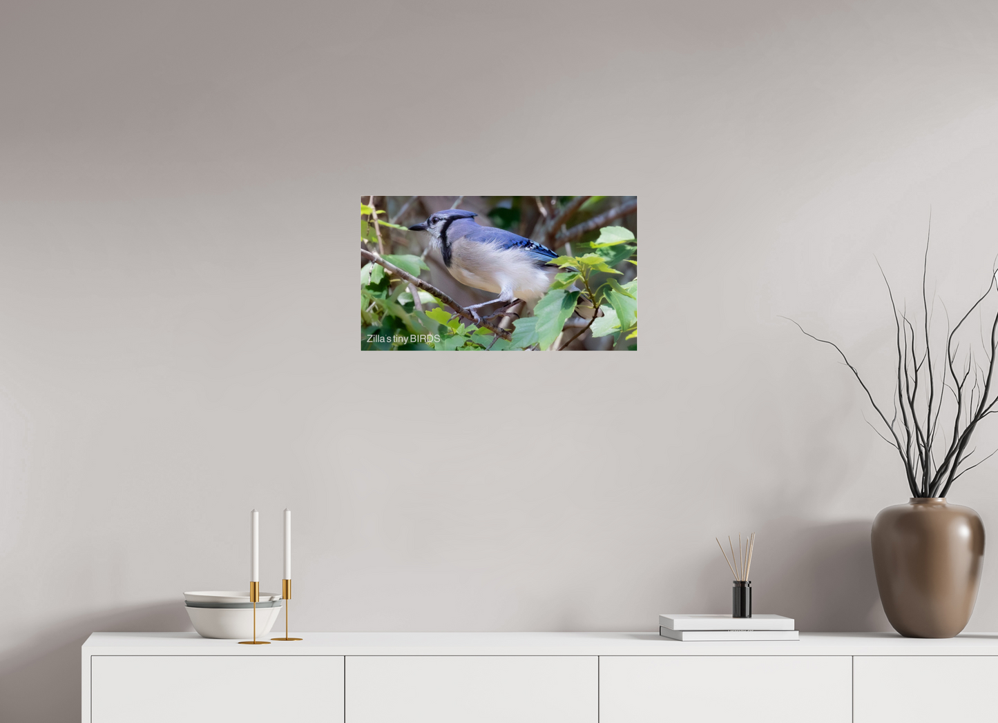 24 x 13.5″, Photo Print Under Acrylic Glass Zillas Zoom Image 377