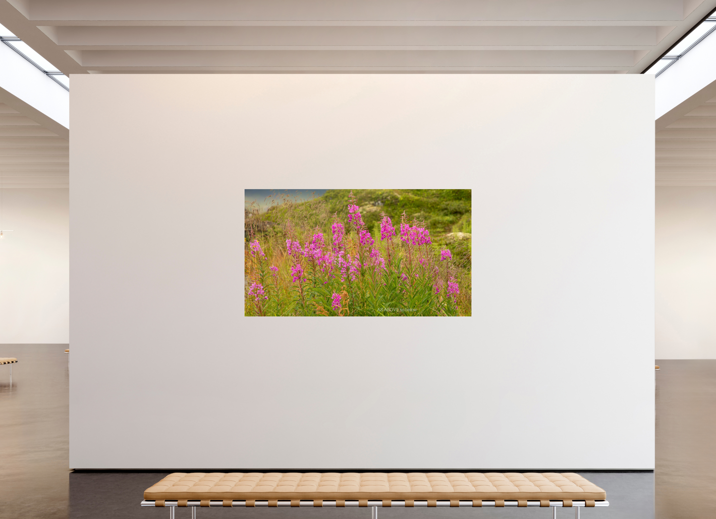 80 x 45″, Photo Print Under Acrylic Glass Zillas Zoom Image 97