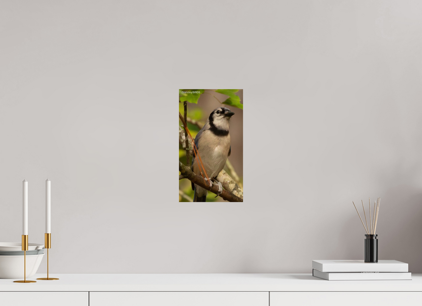 6.8 x 12″, Photo Print On Fuji Crystal DP II Zillas Zoom Image 493