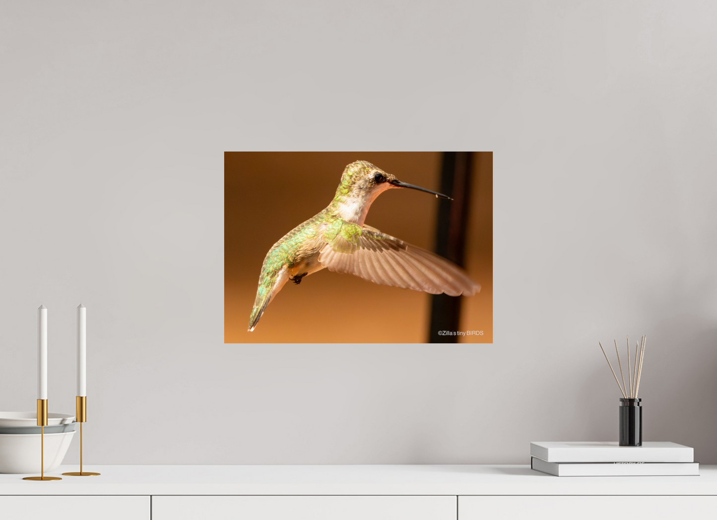 16.8 x 12″, Photo Print On Fuji Crystal DP II Zillas Zoom Image 351
