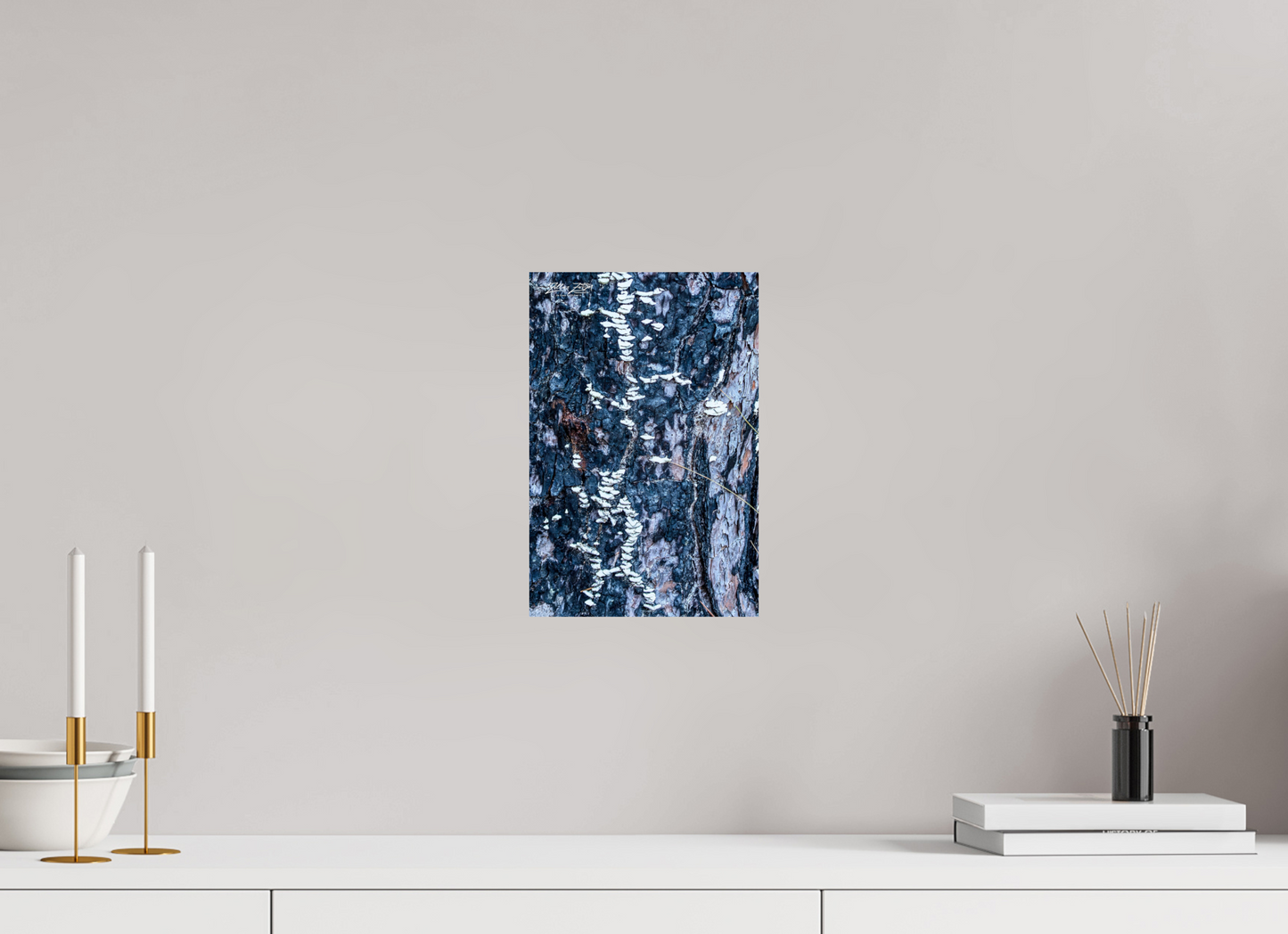 8 x 12″, Photo Print On Fuji Crystal DP II Zillas Zoom Image 114