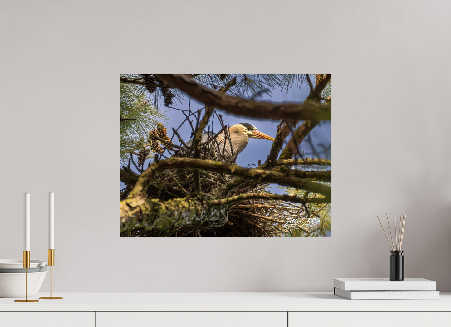 20.7 x 16″, Photo Print Under Acrylic Glass Zillas Zoom Image 361