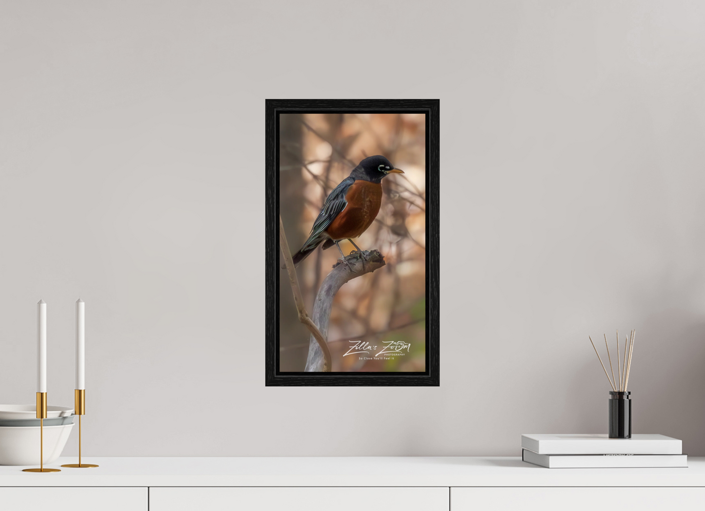 9 x 16″, Floater Frame Zillas Zoom Image 414