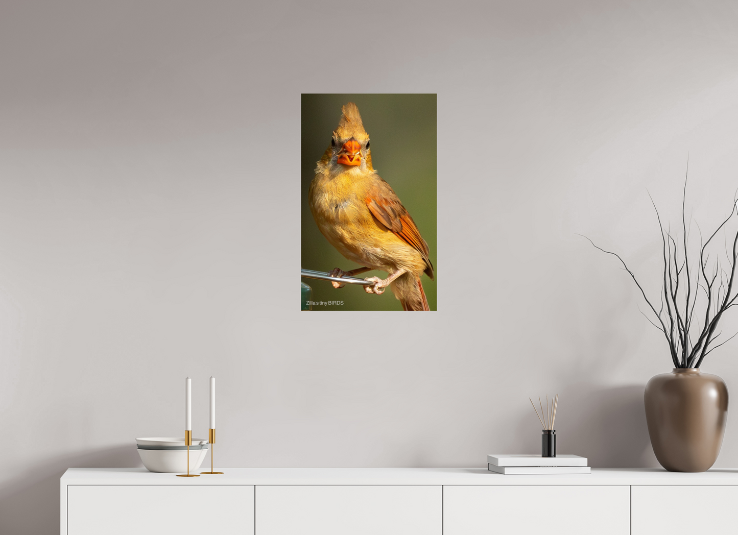 16 x 25.6″, Photo Print Under Acrylic Glass Zillas Zoom Image 509