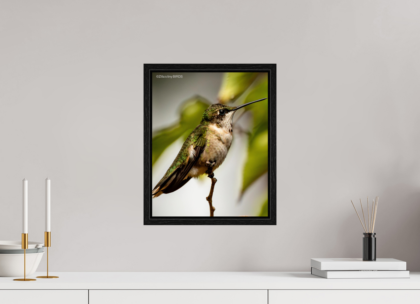 12 x 15″, Floater Frame Zillas Zoom Image 472