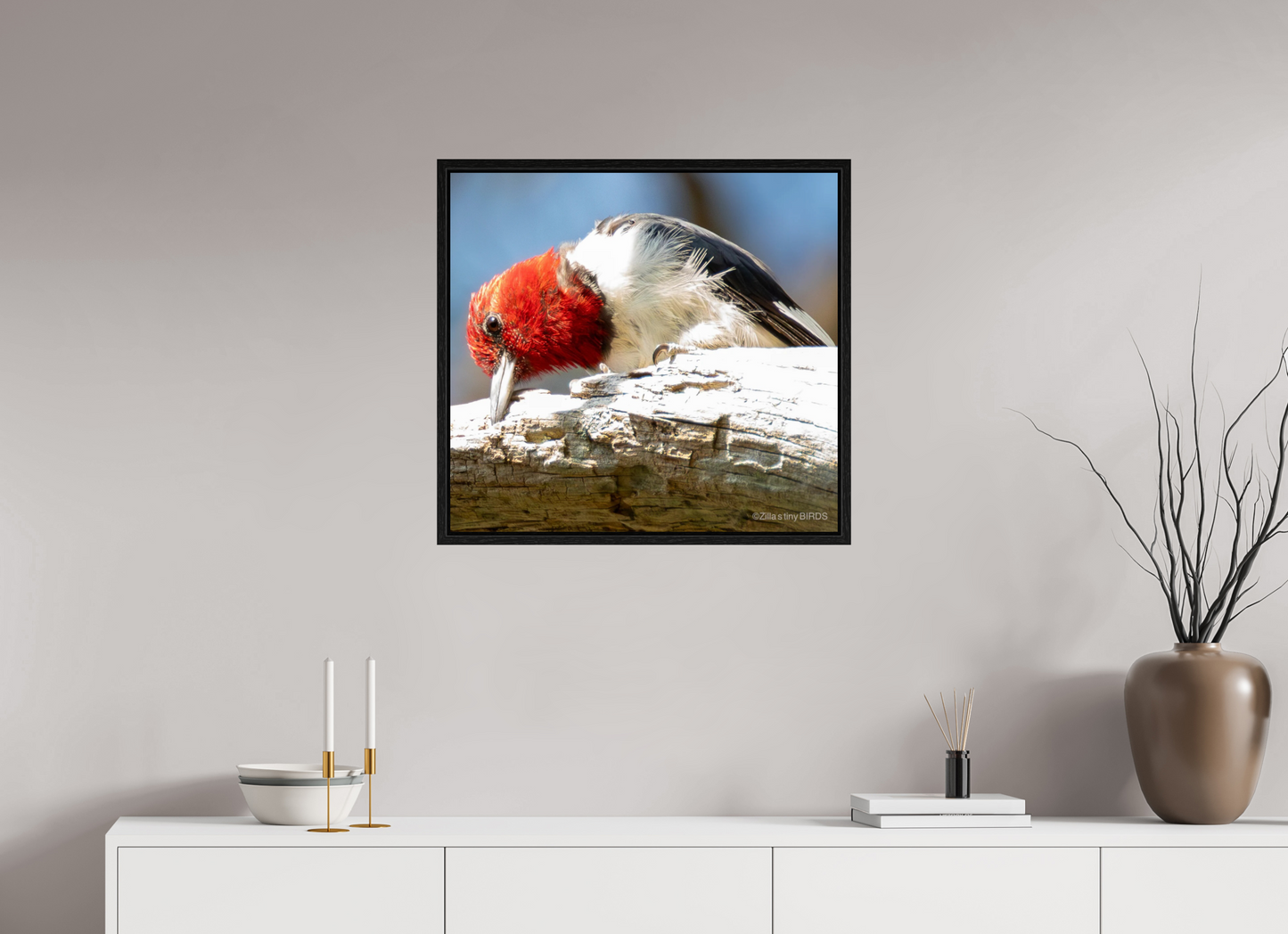 25.9 x 24″, Floater Frame Zillas Zoom Image 270