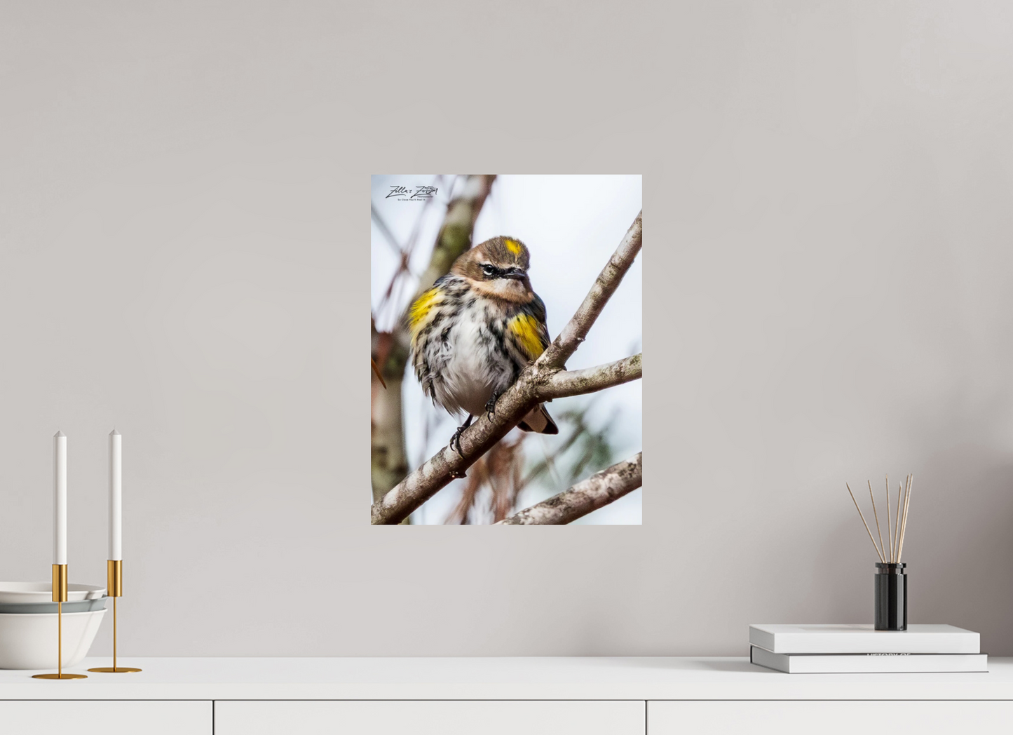 12 x 15.5″, Photo Print On Fuji Crystal DP II Zillas Zoom Image 496