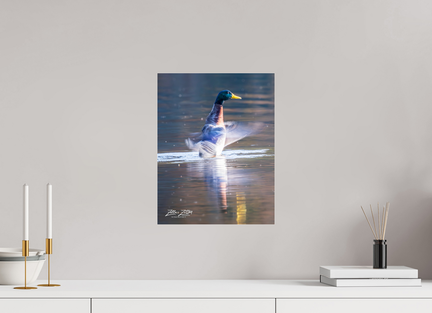 12 x 15.5″, Photo Print Under Acrylic Glass Zillas Zoom Image 448