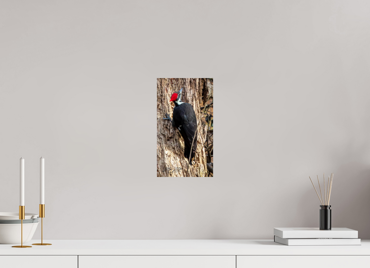 6.8 x 12″, Photo Print On Fuji Crystal DP II Zillas Zoom Image 425