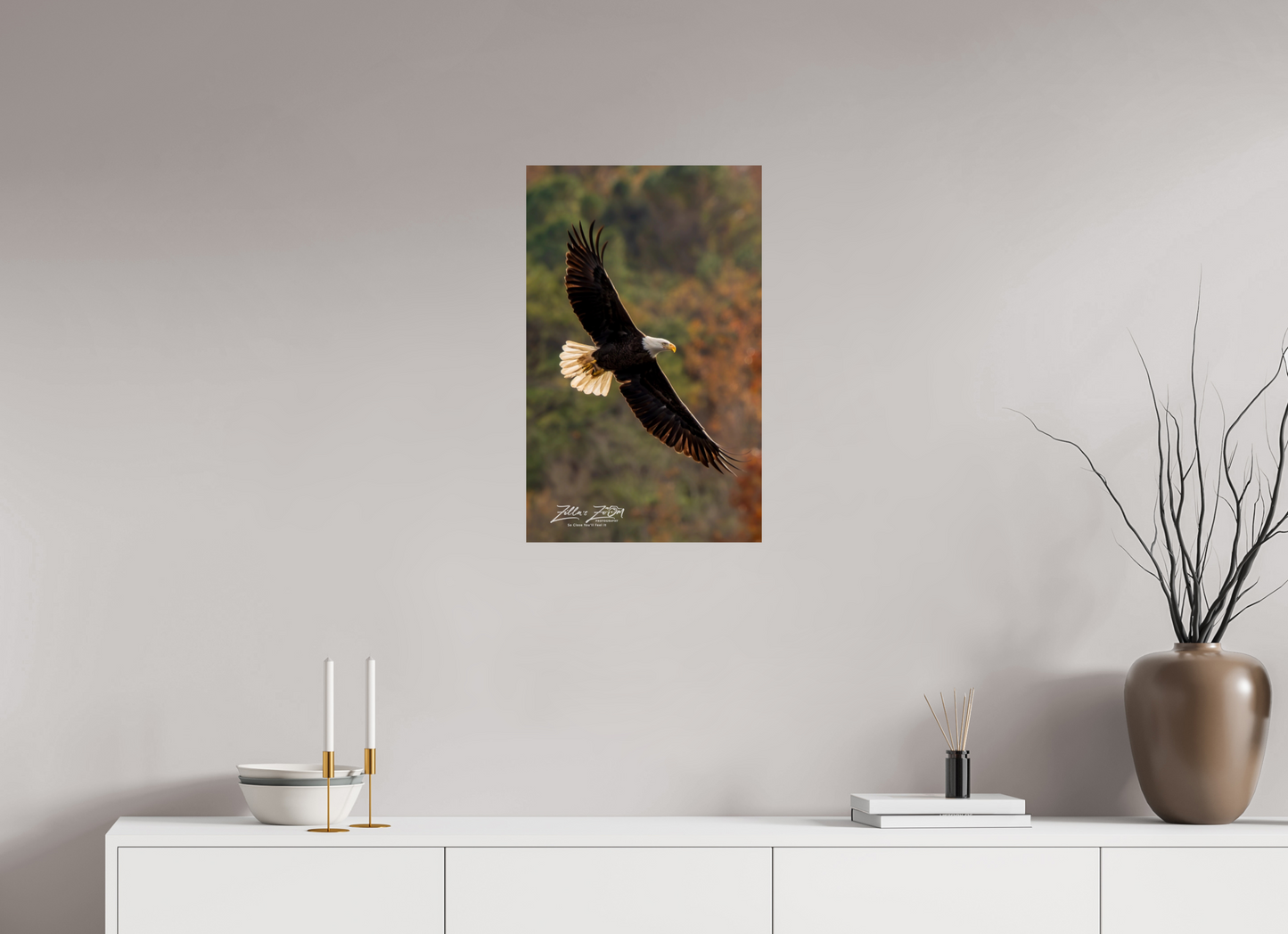 16 x 25.6″, Photo Print On Fuji Crystal DP II Zillas Zoom Image 417