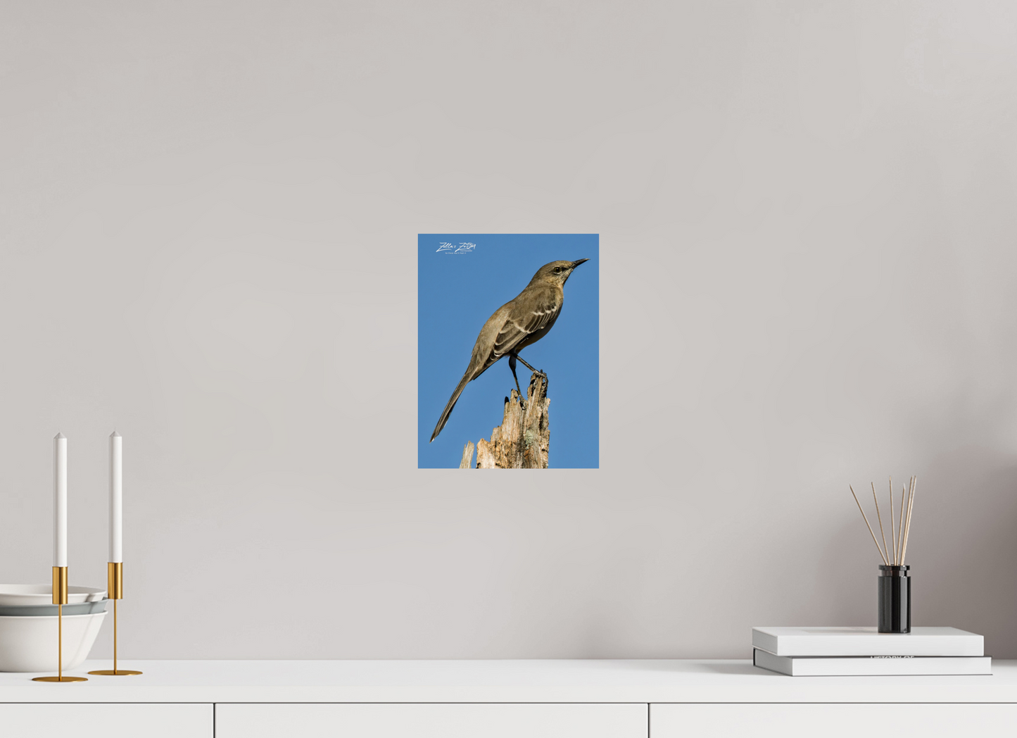 8 x 10.4″, Photo Print On Fuji Crystal DP II Zillas Zoom Image 404