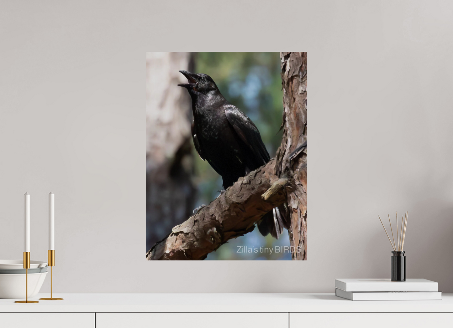 16 x 20.7″, Photo Print On Fuji Crystal DP II Zillas Zoom Image 498