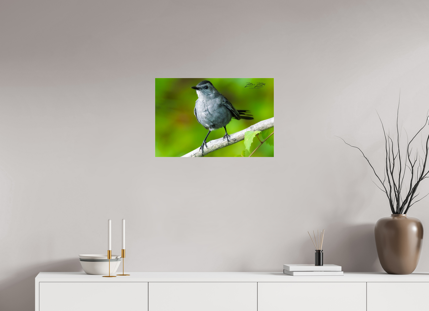 24 x 16″, Photo Print Under Acrylic Glass Zillas Zoom Image 305