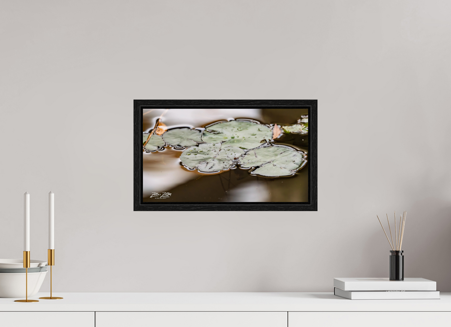 16 x 9″, Floater Frame Zillas Zoom Image 89