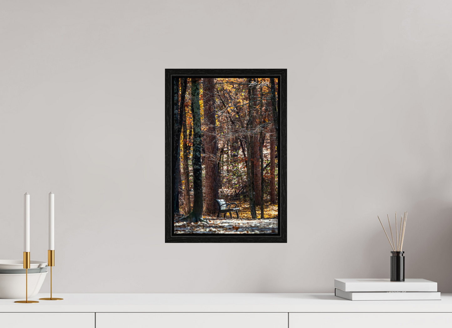 10 x 15″, Floater Frame Zillas Zoom Image 259