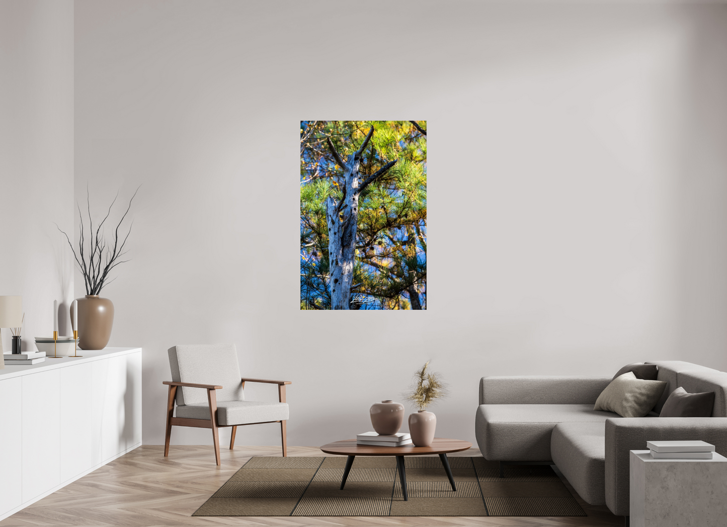36 x 54″, Photo Print On Fuji Crystal DP II Zillas Zoom Image 252