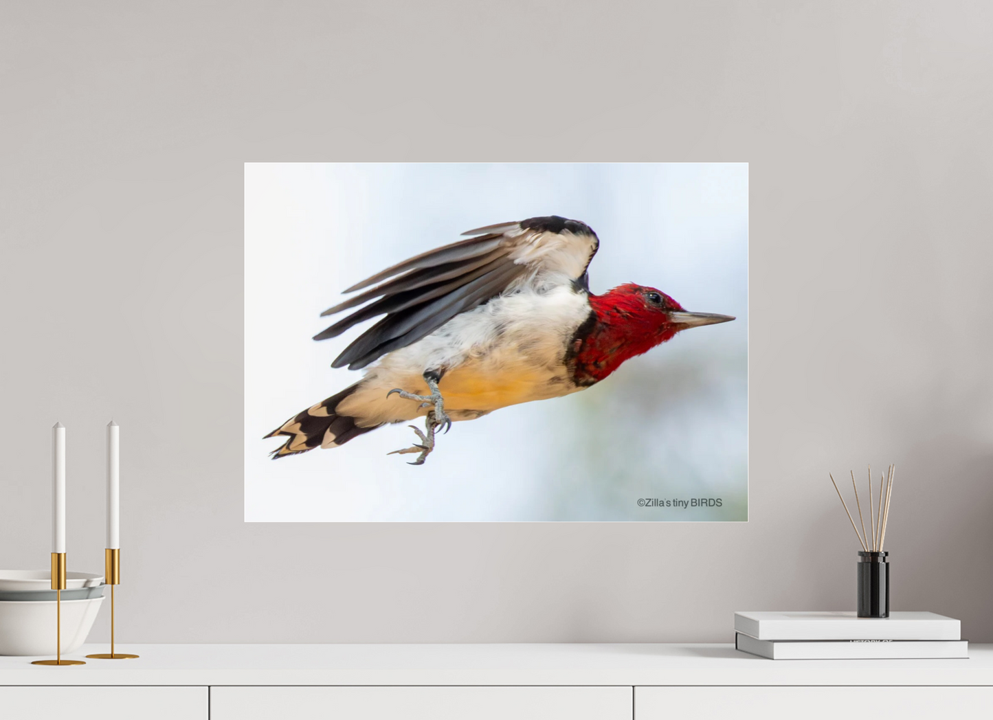 22.4 x 16″, Photo Print Under Acrylic Glass Zillas Zoom Image 325