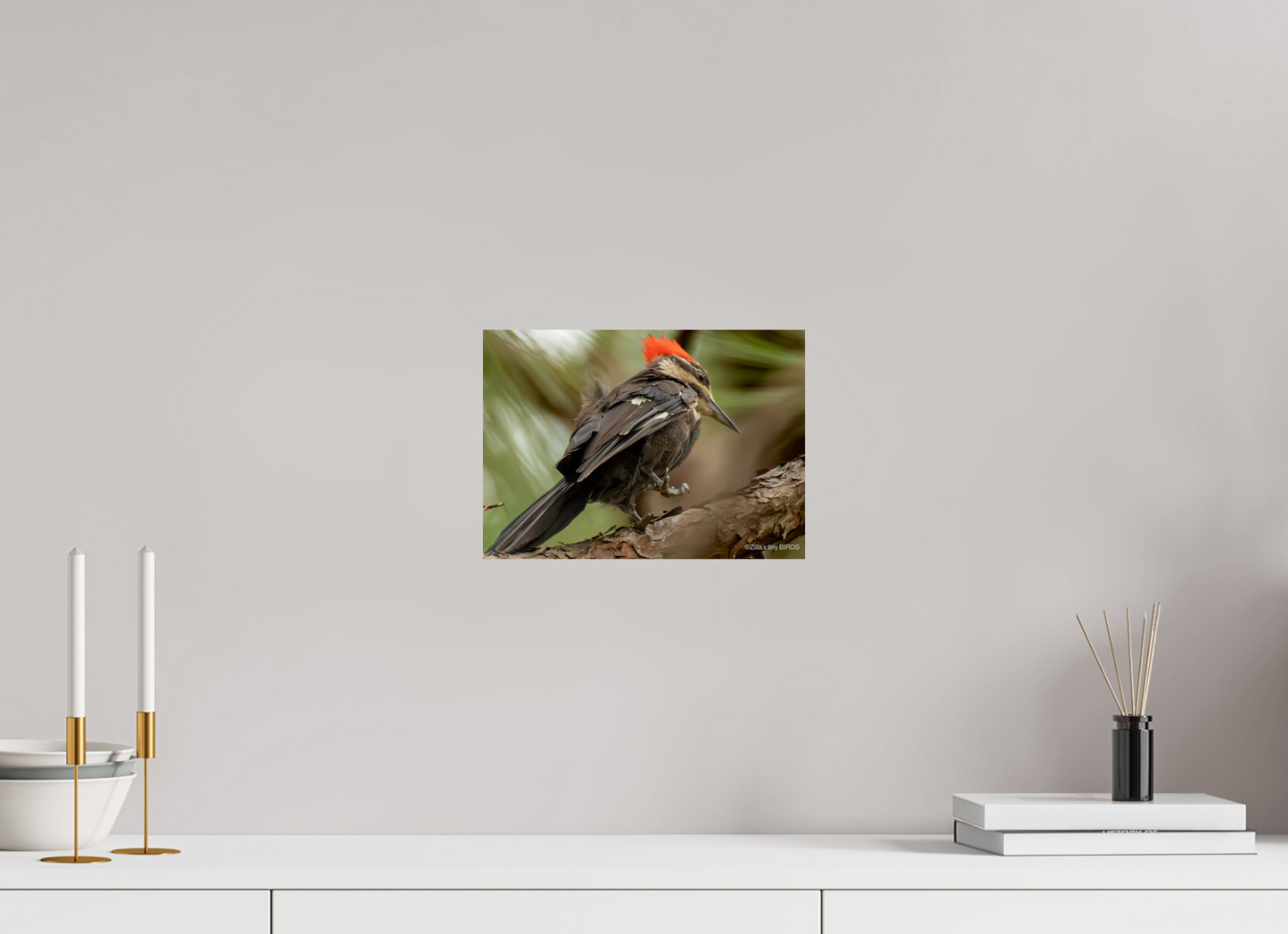 11.2 x 8″, Photo Print On Fuji Crystal DP II Zillas Zoom Image 341