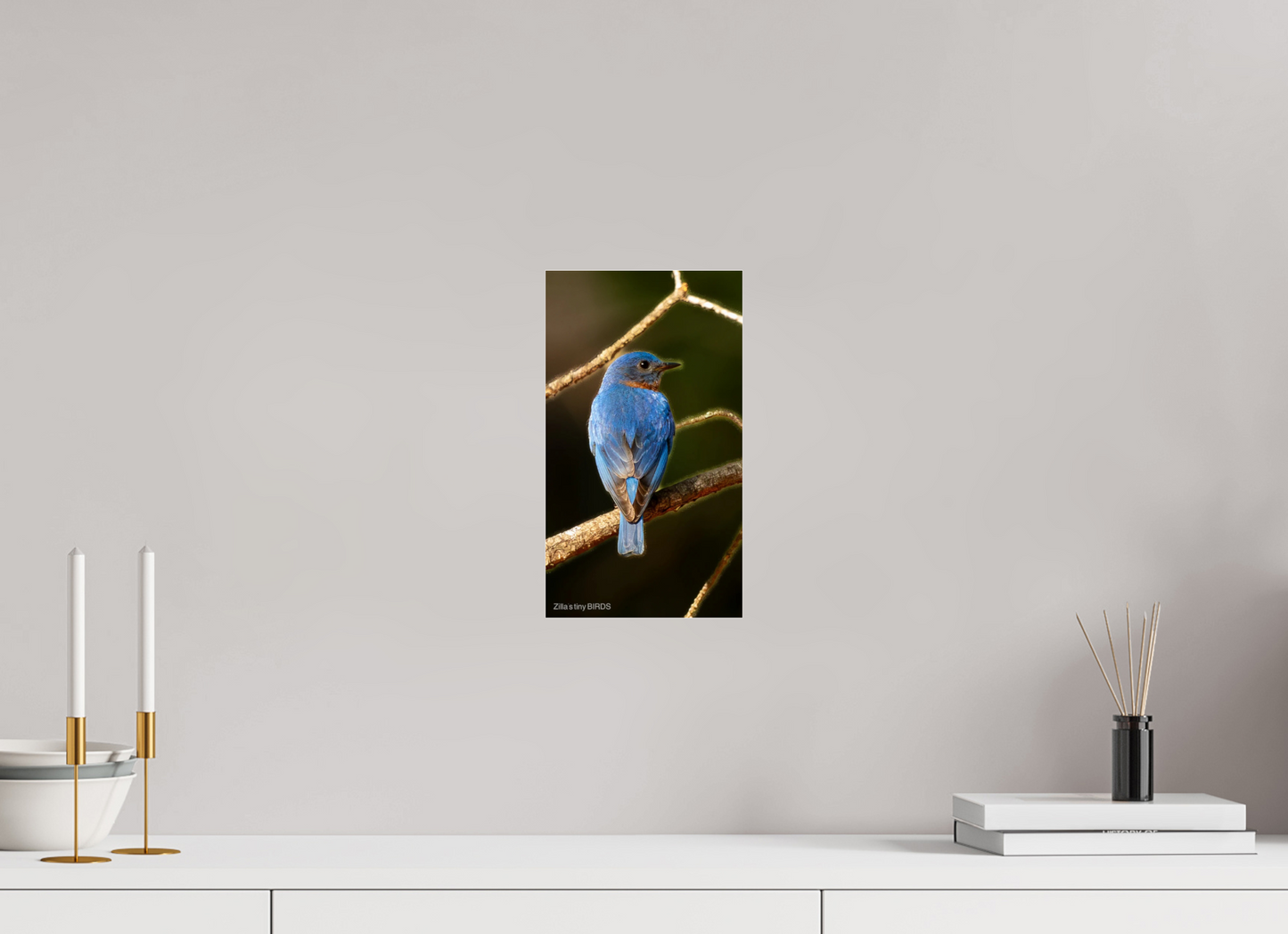 6.8 x 12″, Photo Print Under Acrylic Glass Zillas Zoom Image 489