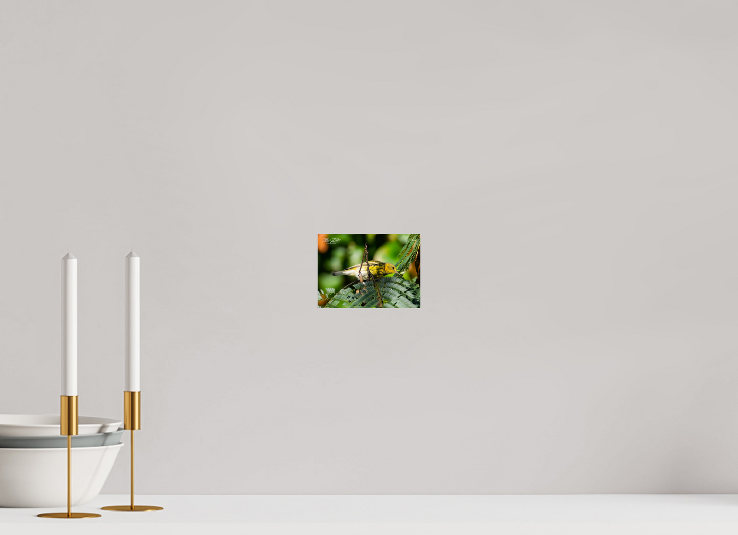 5.6 x 4″, Photo Print On Fuji Crystal DP II Zillas Zoom Image 288